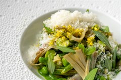 Cenci alla brace, vignarola, stridoli e pecorino stagionato